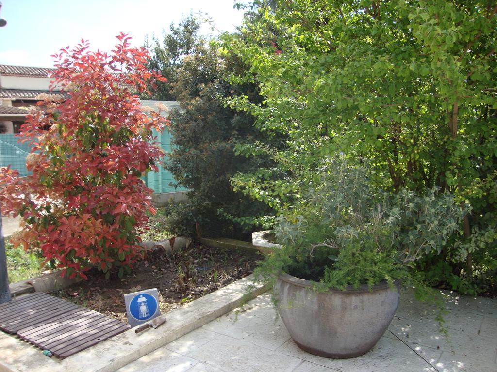 Michele Et Didier Lin Saint-Laurent-dʼAigouze Exterior foto